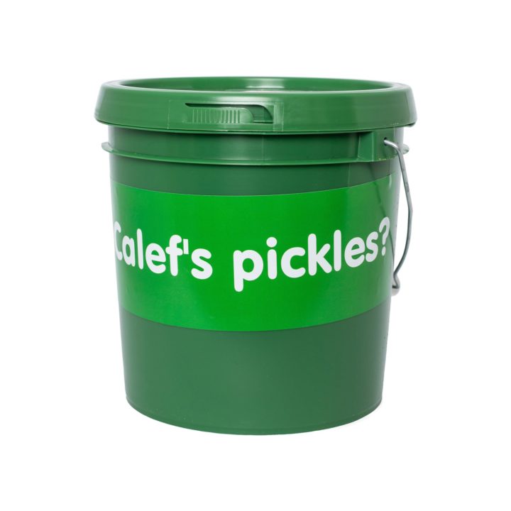 12 Pickles in a Bucket
