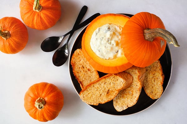 Cheddar Pumpkin Dip Recipe