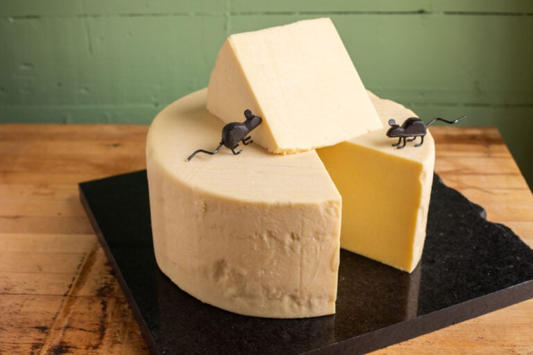 Basic Cheddar Cheese Sauce